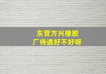 东营方兴橡胶厂待遇好不好呀