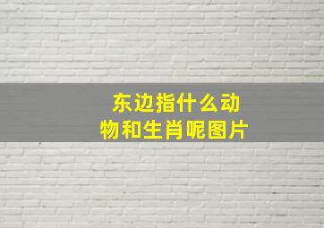 东边指什么动物和生肖呢图片