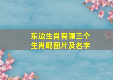 东边生肖有哪三个生肖呢图片及名字