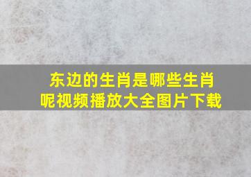 东边的生肖是哪些生肖呢视频播放大全图片下载