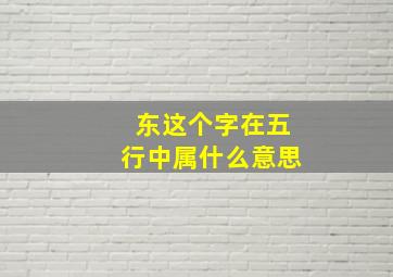 东这个字在五行中属什么意思