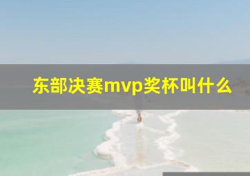 东部决赛mvp奖杯叫什么