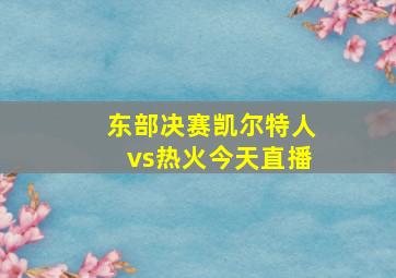 东部决赛凯尔特人vs热火今天直播