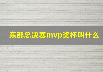 东部总决赛mvp奖杯叫什么