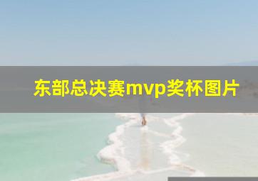 东部总决赛mvp奖杯图片