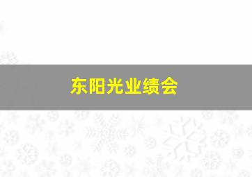 东阳光业绩会