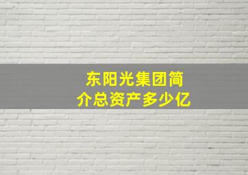 东阳光集团简介总资产多少亿