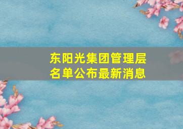 东阳光集团管理层名单公布最新消息