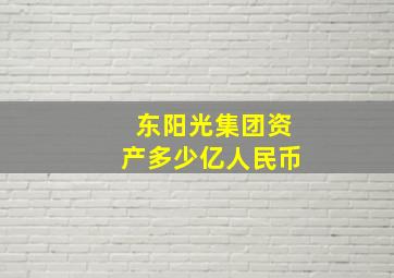 东阳光集团资产多少亿人民币