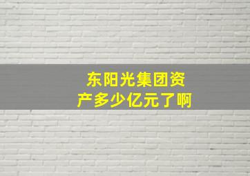 东阳光集团资产多少亿元了啊