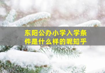 东阳公办小学入学条件是什么样的呢知乎