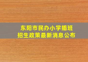 东阳市民办小学插班招生政策最新消息公布