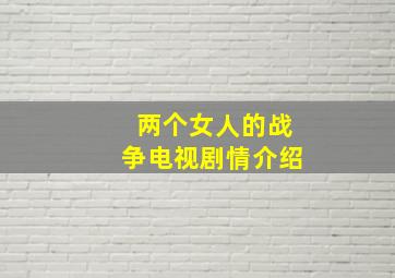 两个女人的战争电视剧情介绍