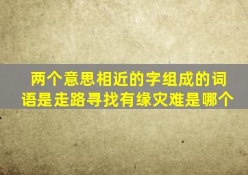 两个意思相近的字组成的词语是走路寻找有缘灾难是哪个