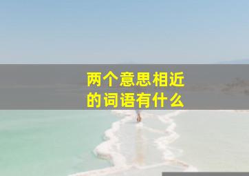 两个意思相近的词语有什么