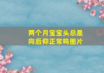 两个月宝宝头总是向后仰正常吗图片