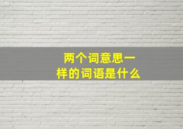 两个词意思一样的词语是什么