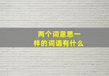 两个词意思一样的词语有什么