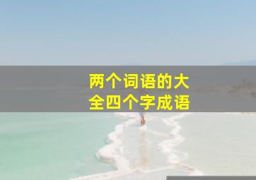 两个词语的大全四个字成语