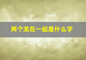 两个龙在一起是什么字