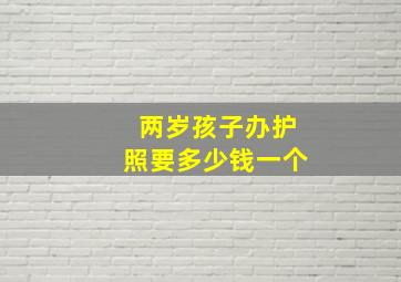 两岁孩子办护照要多少钱一个