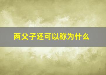 两父子还可以称为什么