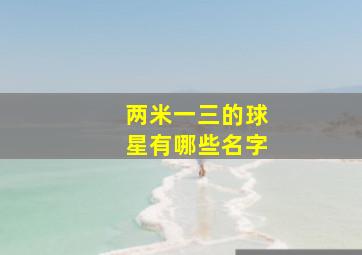 两米一三的球星有哪些名字