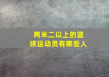 两米二以上的篮球运动员有哪些人