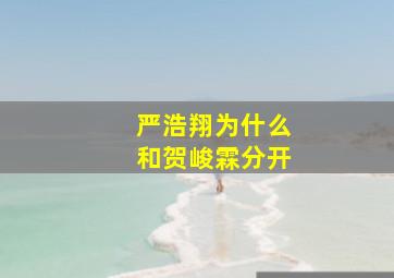 严浩翔为什么和贺峻霖分开