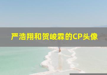 严浩翔和贺峻霖的CP头像