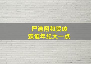 严浩翔和贺峻霖谁年纪大一点