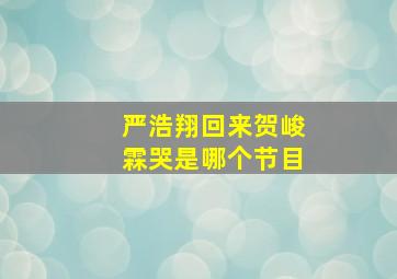 严浩翔回来贺峻霖哭是哪个节目