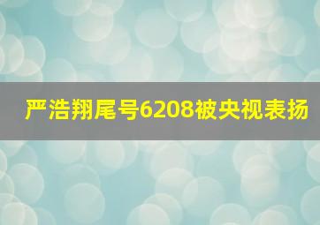 严浩翔尾号6208被央视表扬