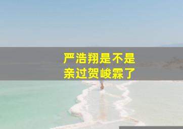 严浩翔是不是亲过贺峻霖了