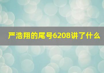 严浩翔的尾号6208讲了什么