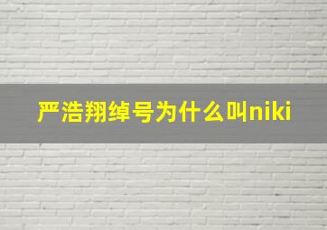 严浩翔绰号为什么叫niki