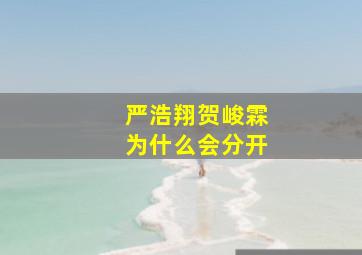 严浩翔贺峻霖为什么会分开