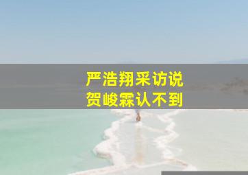 严浩翔采访说贺峻霖认不到