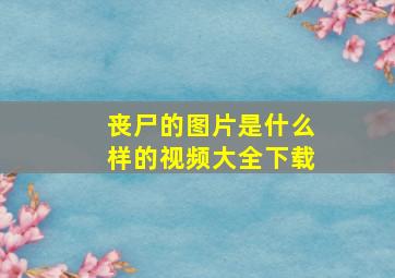 丧尸的图片是什么样的视频大全下载