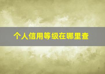 个人信用等级在哪里查