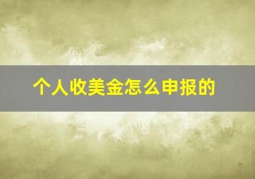 个人收美金怎么申报的