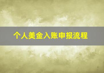 个人美金入账申报流程