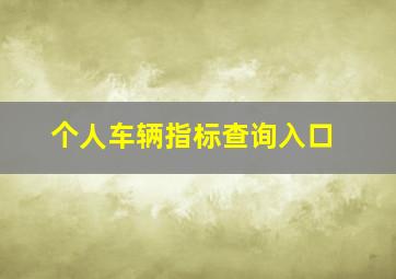 个人车辆指标查询入口