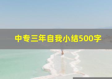 中专三年自我小结500字