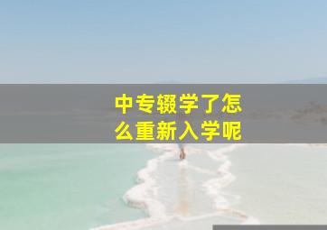 中专辍学了怎么重新入学呢