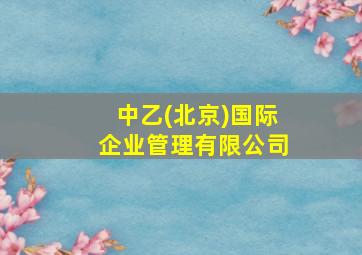 中乙(北京)国际企业管理有限公司