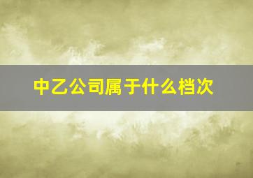 中乙公司属于什么档次