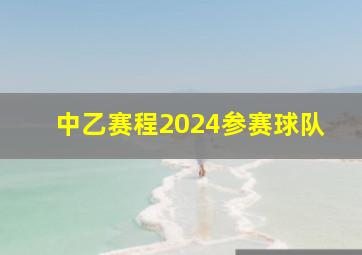 中乙赛程2024参赛球队