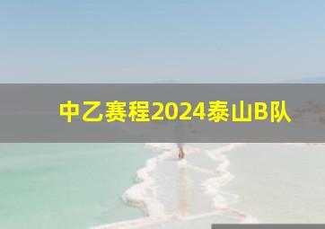 中乙赛程2024泰山B队