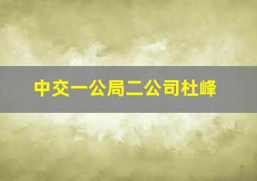 中交一公局二公司杜峰